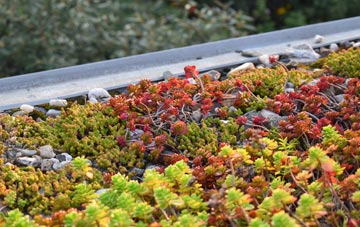 the cost of Chaddesley Corbett green roof installation